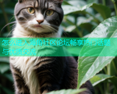 怎么进入海角社区论坛畅享热门话题与优质交流