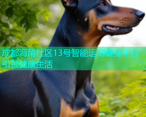 成都海角社区13号智能运动健身平台引领健康生活