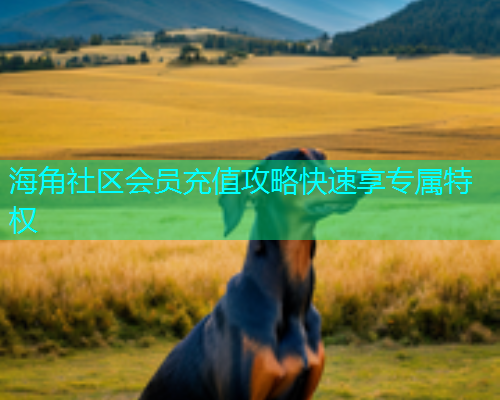 海角社区会员充值攻略快速享专属特权
