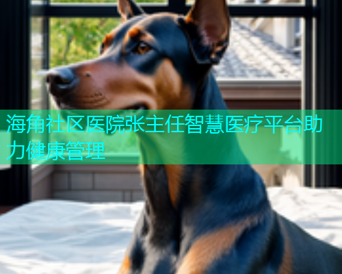 海角社区医院张主任智慧医疗平台助力健康管理
