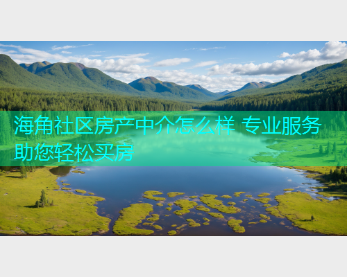 海角社区房产中介怎么样 专业服务助您轻松买房